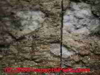 Paint lab Photograph of sample of failed paint